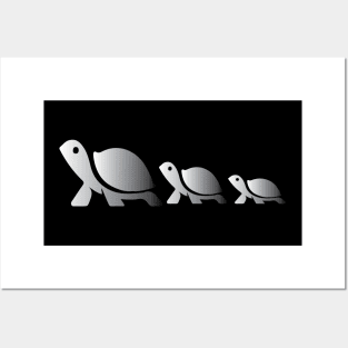 Turtle Walk Posters and Art